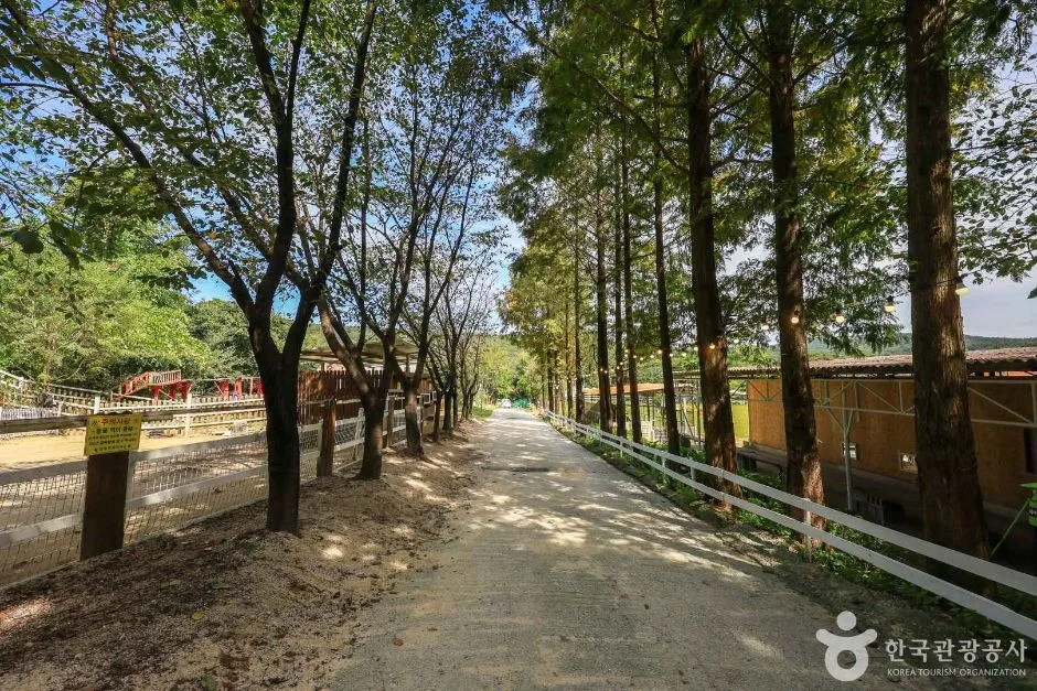 경기_여주_은아목장 (6)