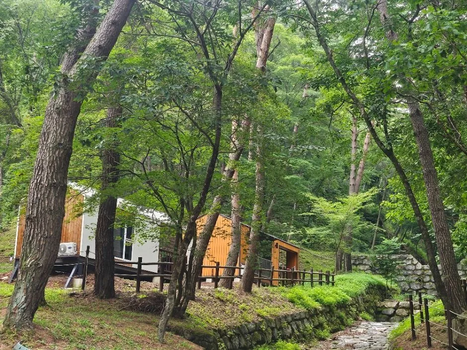 영양_국립검마산자연휴양림 (7)