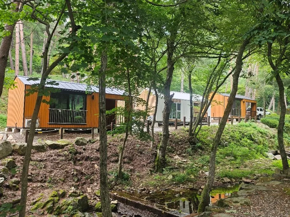 영양_국립검마산자연휴양림 (1)