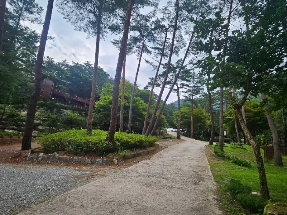영양_국립검마산자연휴양림 (3)