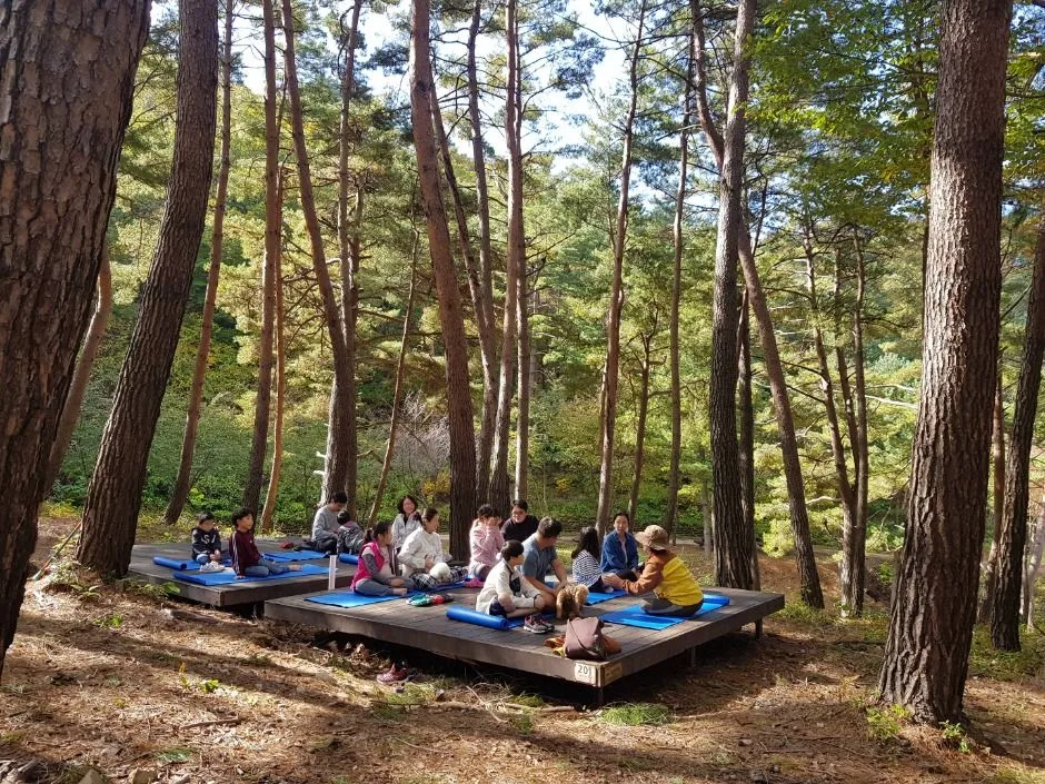 영양_국립검마산자연휴양림 (2)
