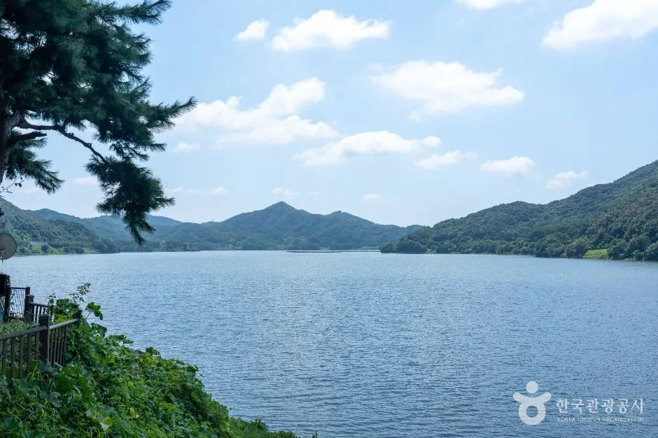 보령_보령호 (5)
