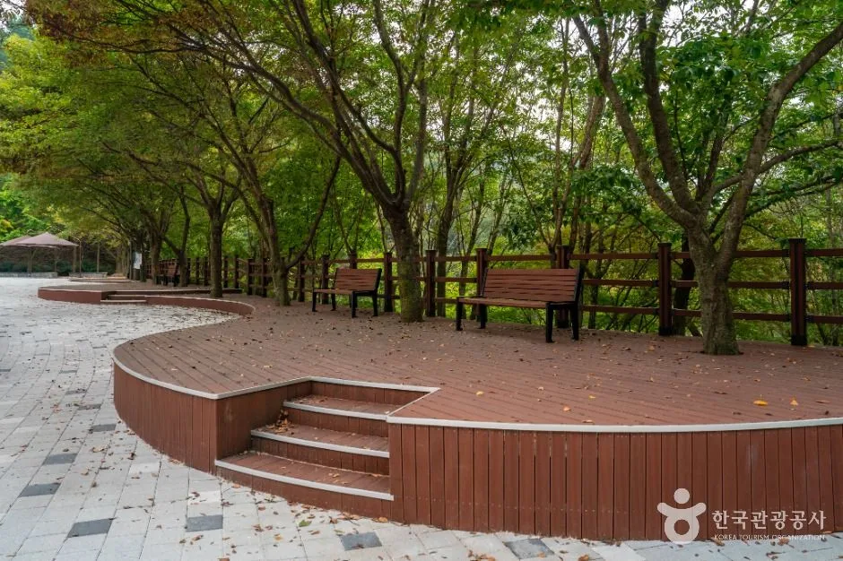 구미_천생산성산림욕장 (4)