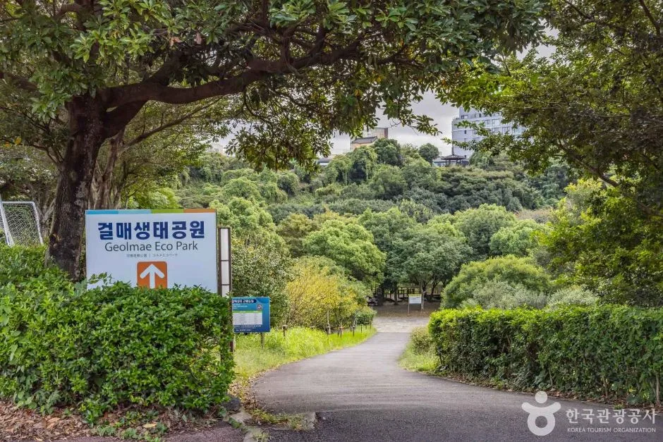 제주_서귀포시_천지연 걸매생태공원_129395 (2)