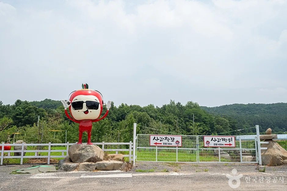 사과깡패 (15)