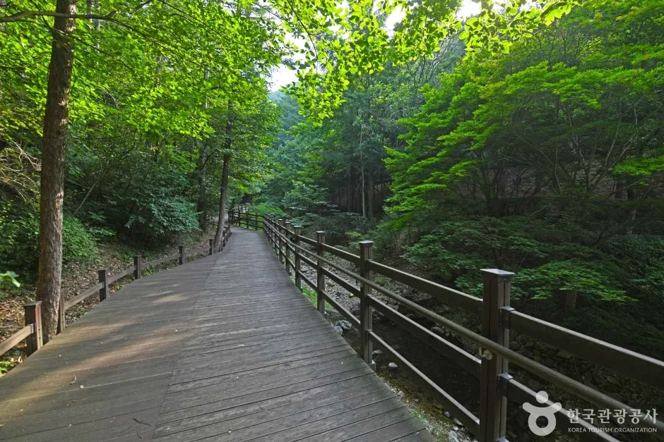 봉학골산림욕장 (3)