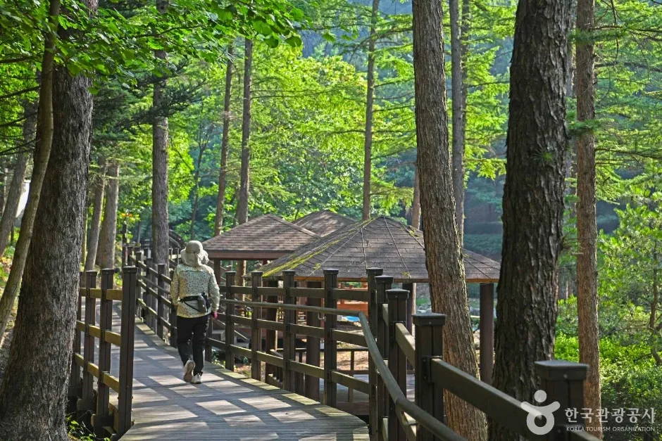봉학골산림욕장 (5)