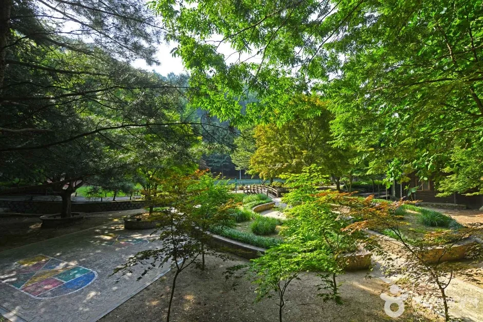 봉학골산림욕장 (7)