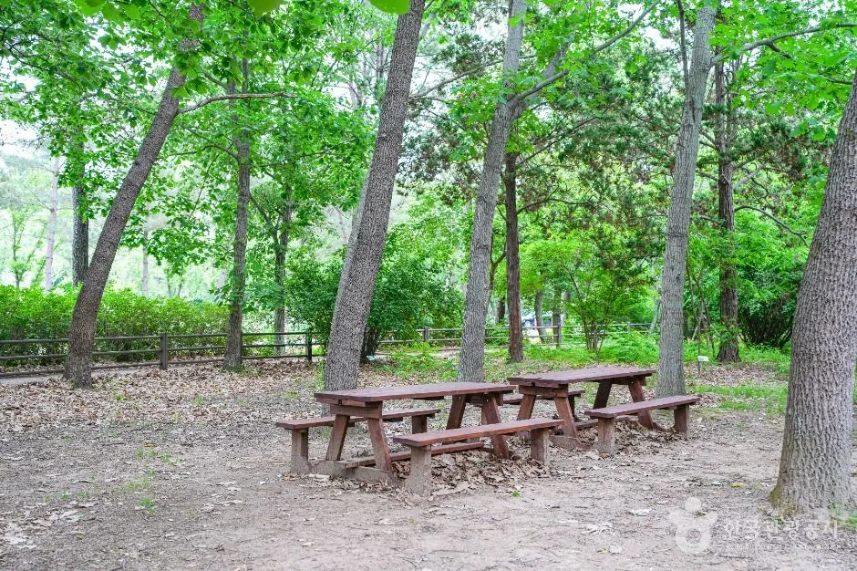 경주_경상북도 산림환경연구원 (5)
