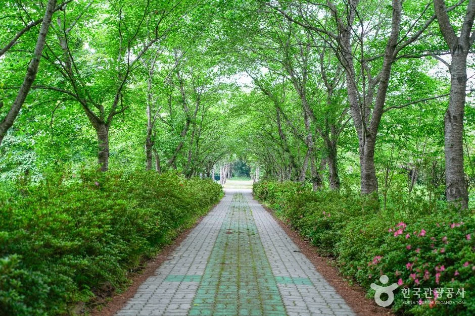 경주_경상북도 산림환경연구원 (3)