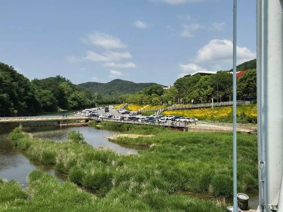 대전_뿌리공원 (5)