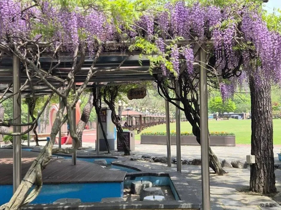 대전_뿌리공원 (7)