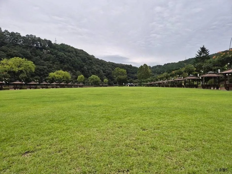 대전_뿌리공원 (10)