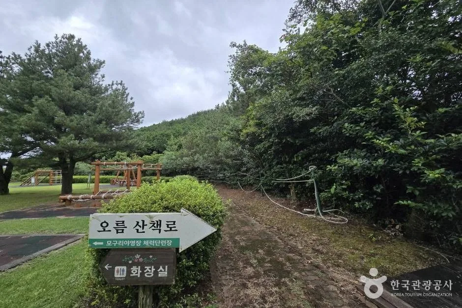 모구리오름_e (6)