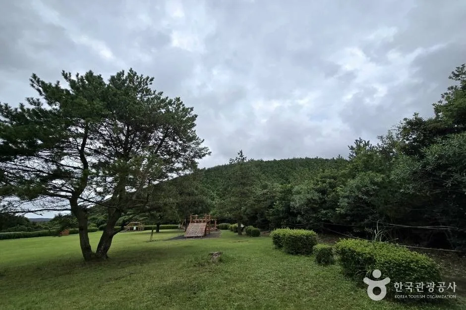 모구리오름_e (5)