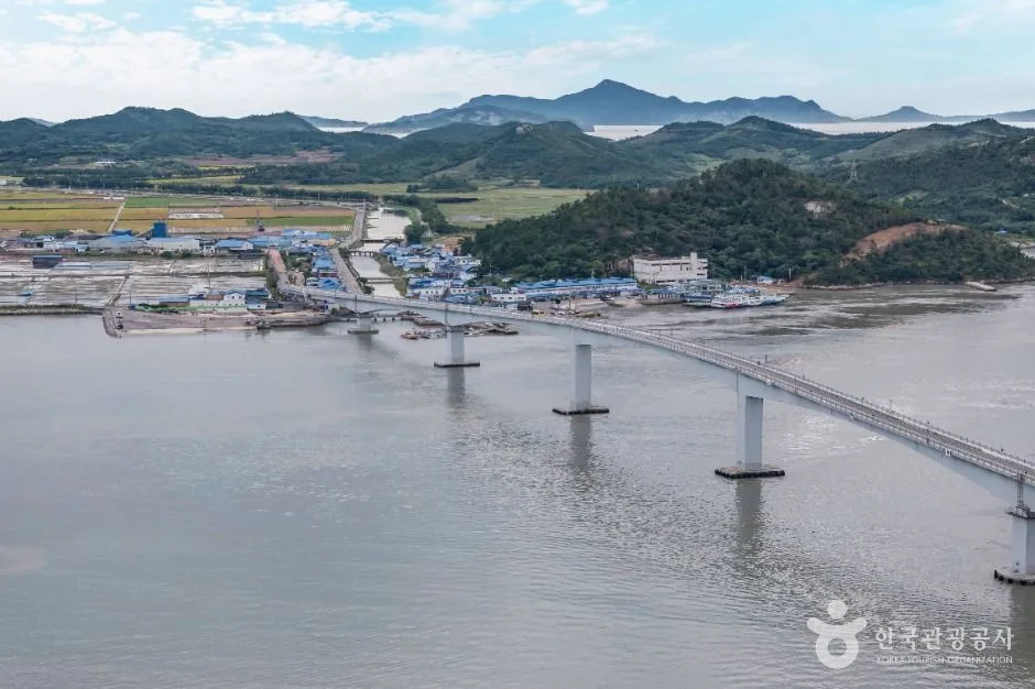 신안_서남문대교 (5)