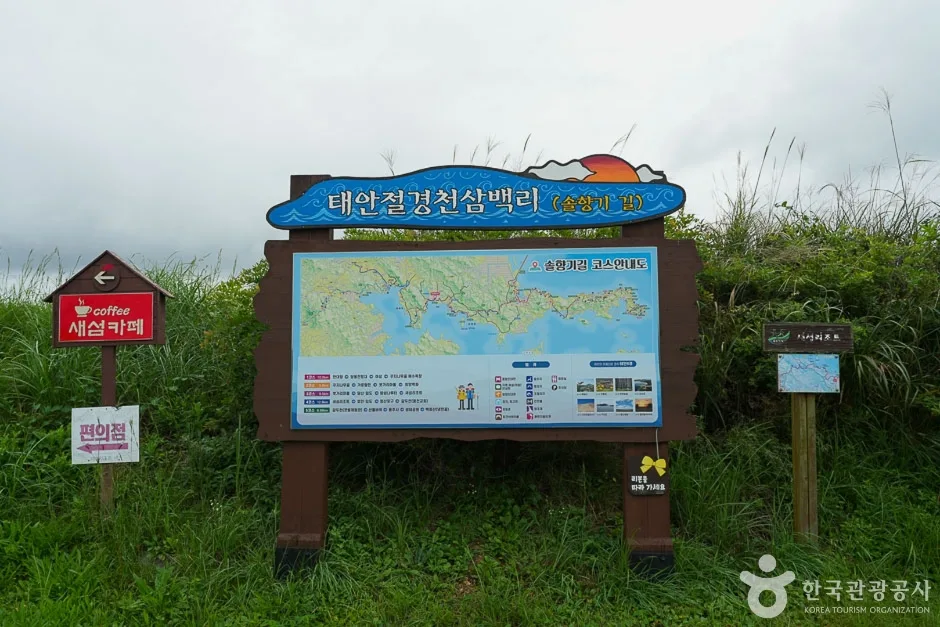 솔향기길 4코스 (15)