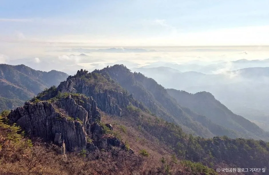 가야산국립공원(백운동 지구) (8)