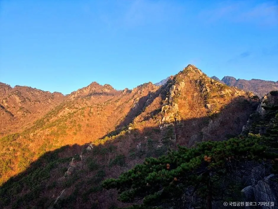 가야산국립공원(백운동 지구) (5)