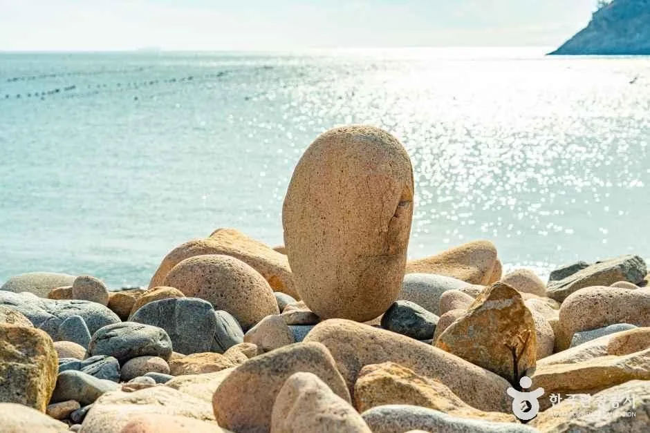 완도_보옥리 공룡알해변 (5).jpg
