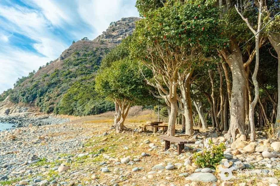완도_보옥리 공룡알해변 (4).jpg