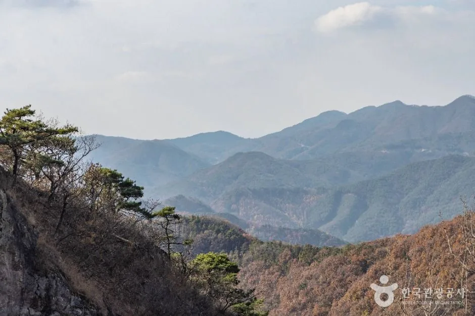 정읍_석탄사(정읍) (2)