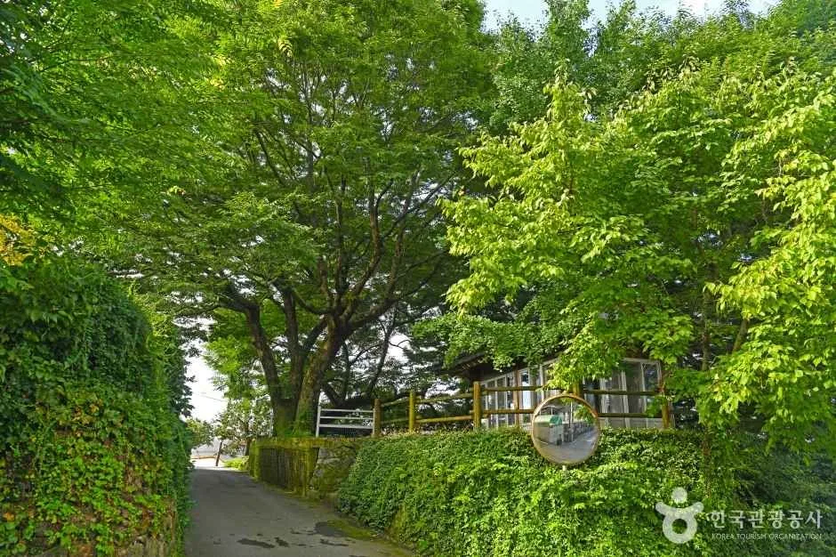 구례_온동마을 (4)