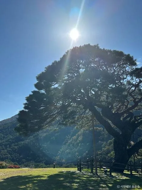 영월_단풍산 (2)