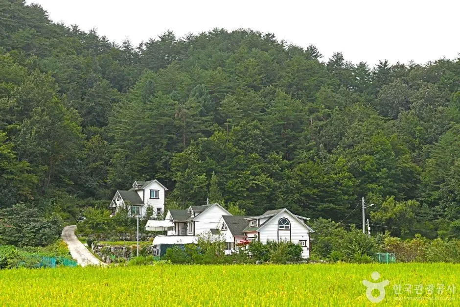 탁장사고을 (3)