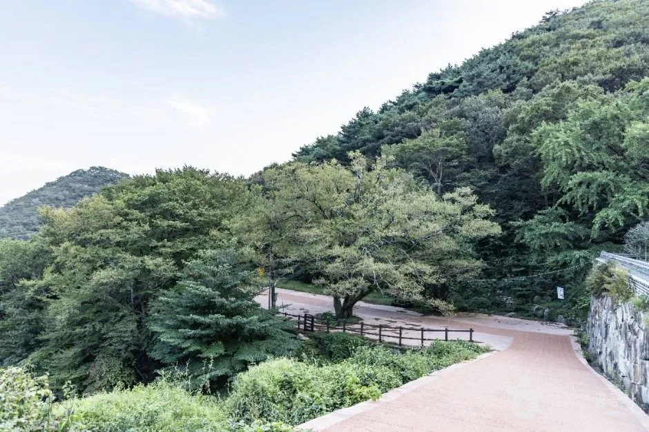 남해_호구산군립공원 (8)