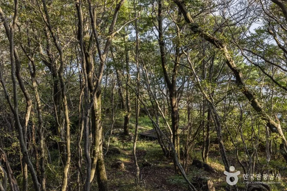 남해_호구산군립공원 (7)
