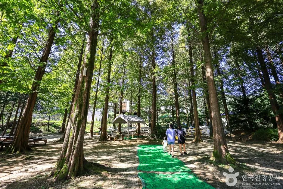 용인_한터 조랑말농장 (3)