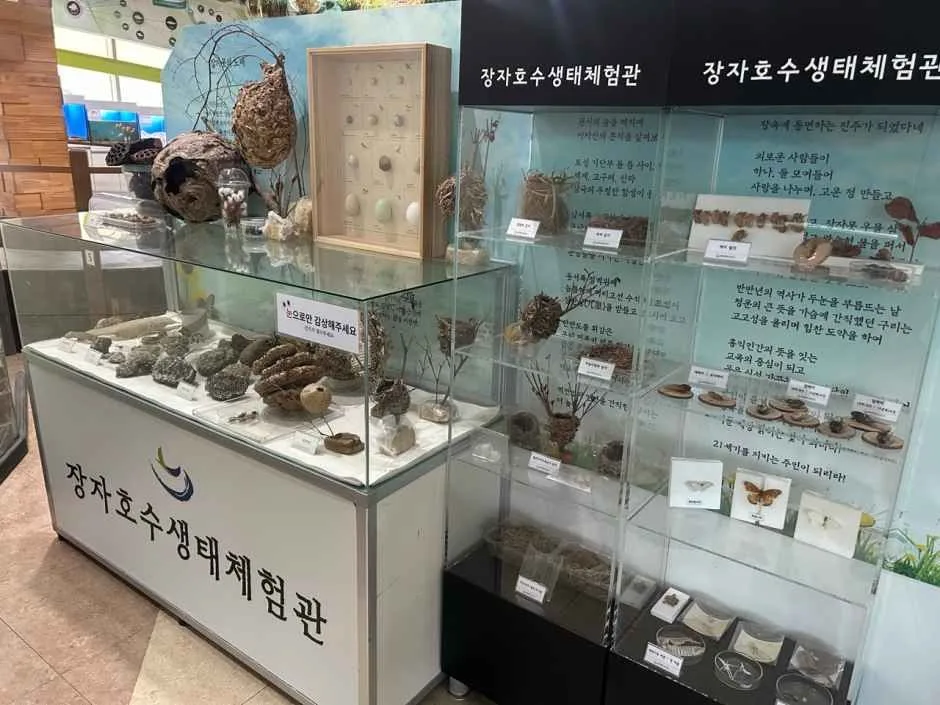 구리_장자호수생태체험관 (5).jpg