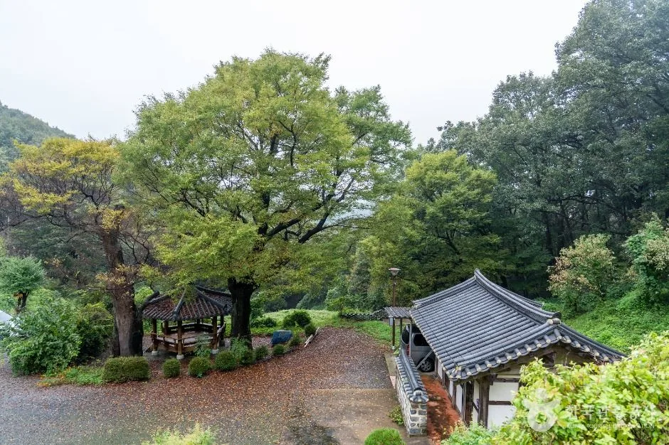 보령_선림사(보령) (2)