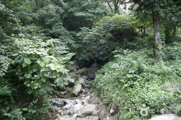 금성산_01