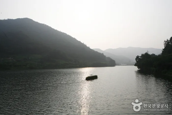 금성산(전남)