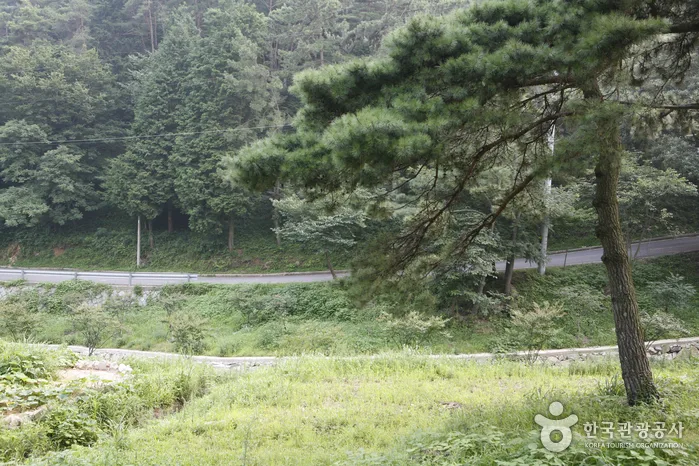 금성산_04