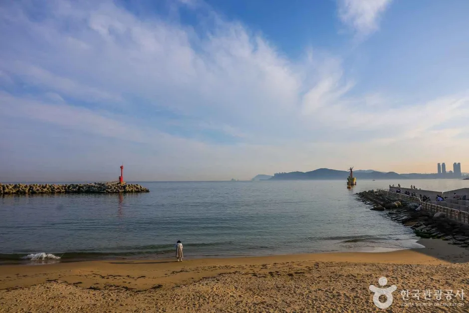 미포항 (7)