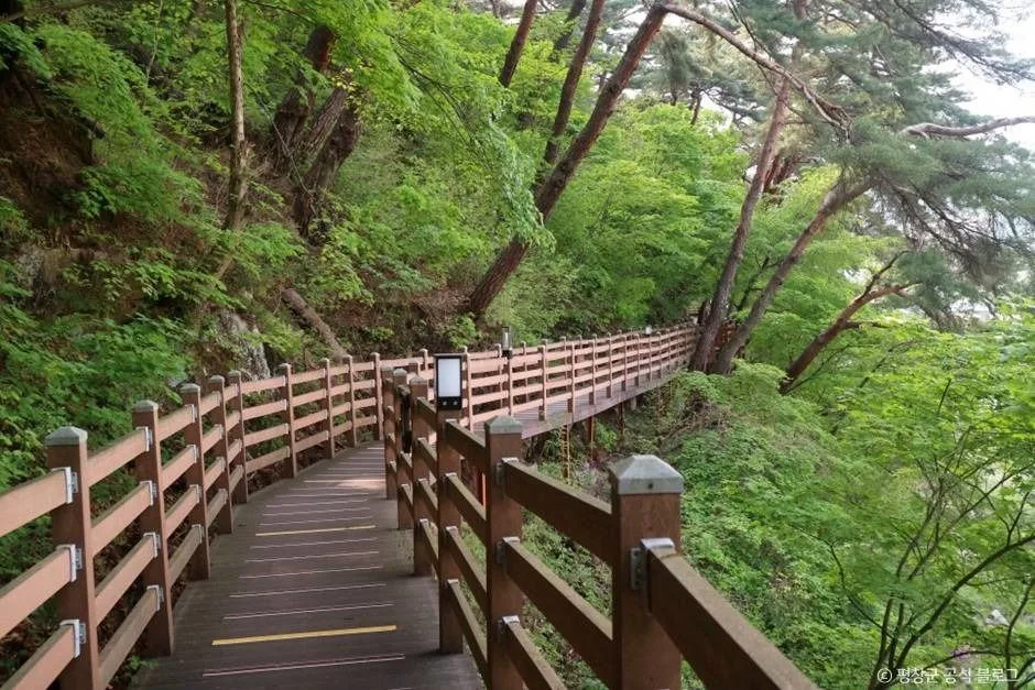 [효석문학100리길 1코스] 문학의 길