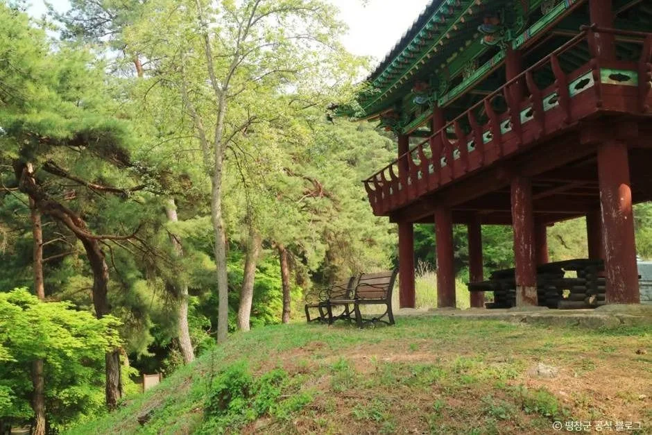 평창_[효석문학100리길 1코스] 문학의 길 (1)