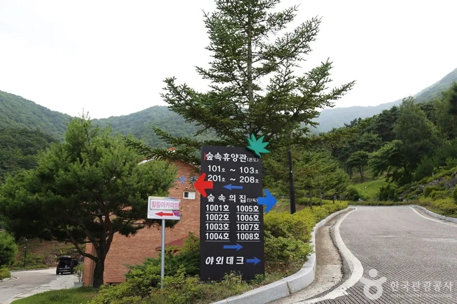 동의보감촌한방자연휴양림 (14)