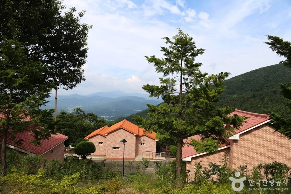 동의보감촌한방자연휴양림 (12)