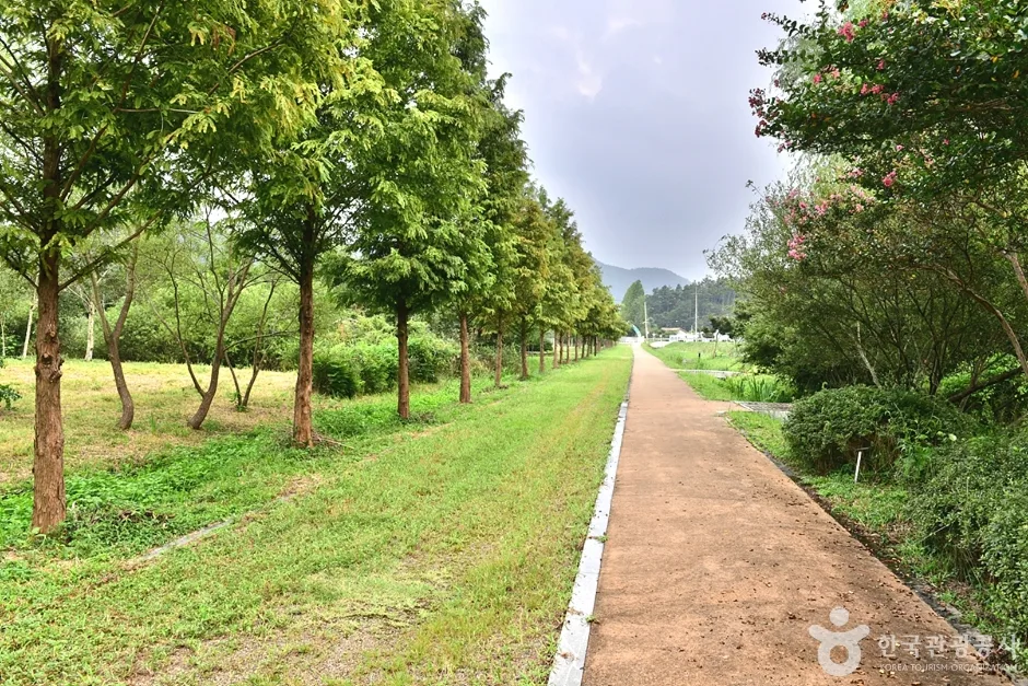 전남_보성_주암호 생태습지 (14)