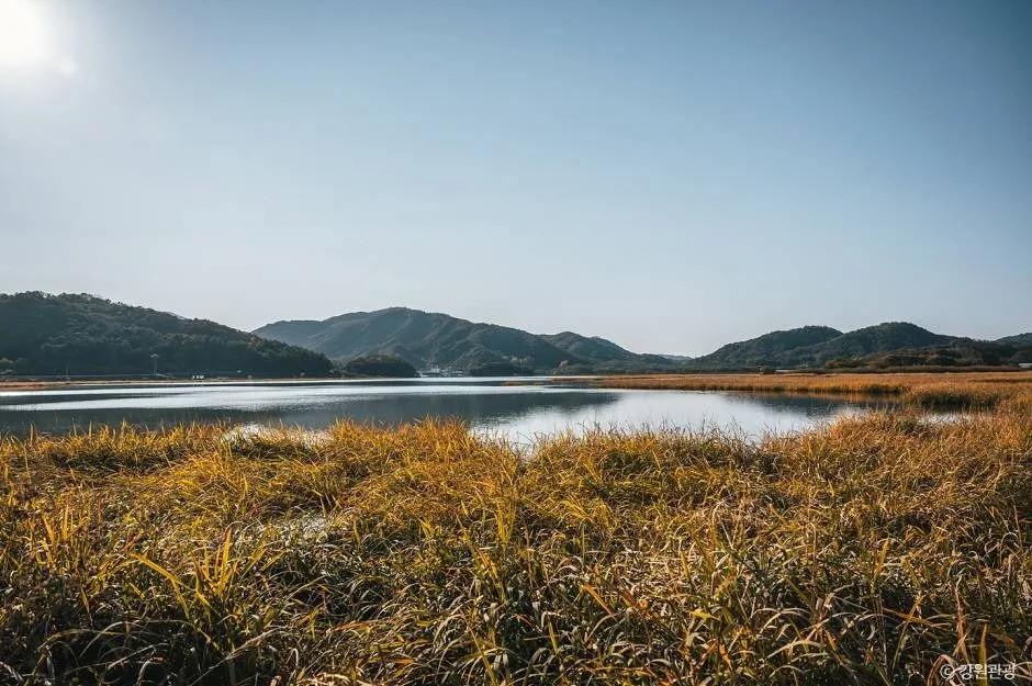 강릉_학저수지 (4)