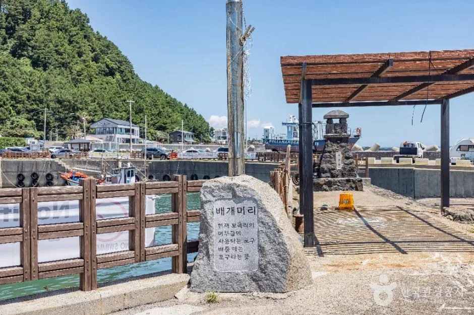 제주_서귀포_보목포구 (7)