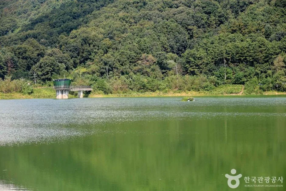 경기_양평_대평지 (4)