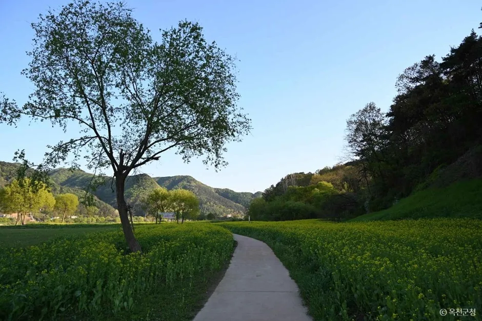 옥천금강수변친수공원 (6)