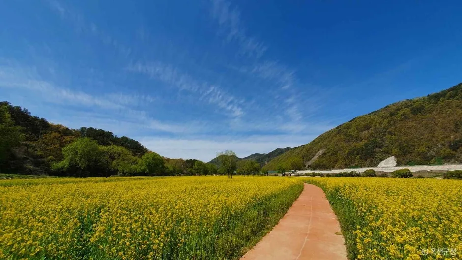 옥천금강수변친수공원 (5)