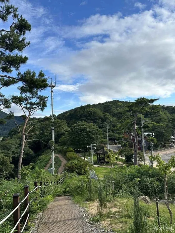 옥천금강수변친수공원 (1)