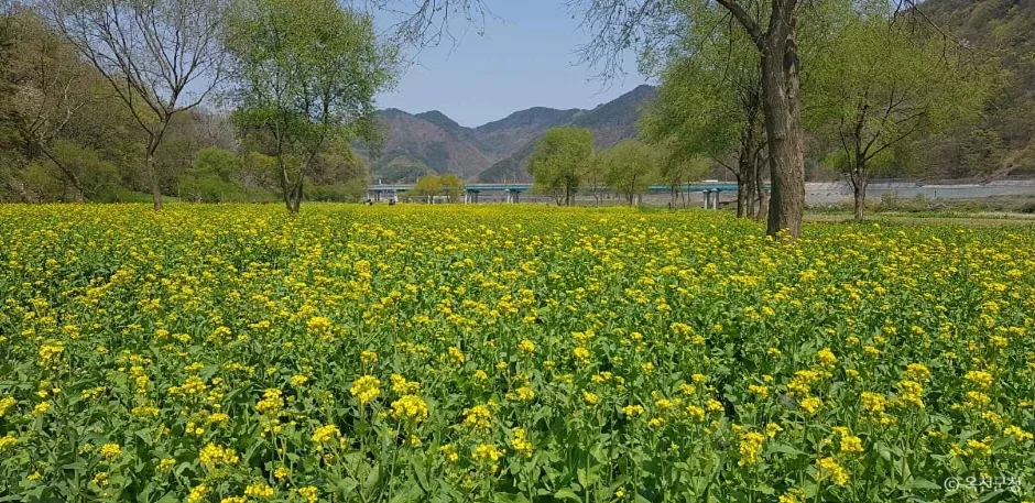 옥천금강수변친수공원 (3)